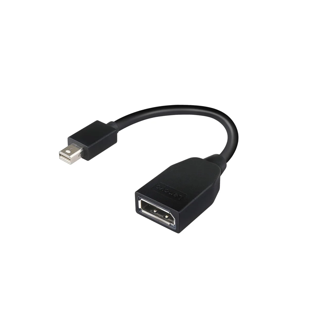 Lenovo Lenovo 4X90L13971 Mini DisplayPort to DisplayPort adapter — product photo