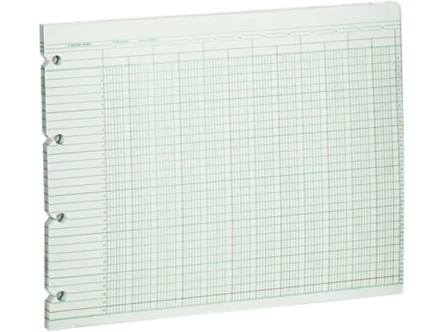 Green 20-column accounting pad, 100 loose sheets, 11.88 x 9.25 inches, four holes