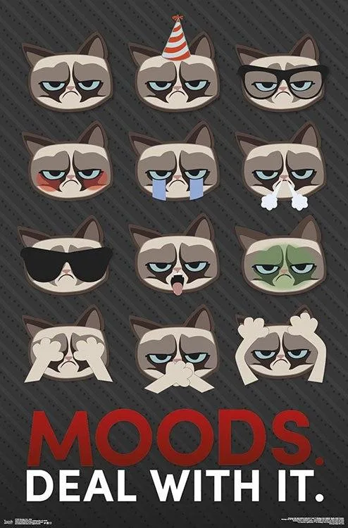 Grumpy Cat grid poster print 22 by 34 inches on heavy paper