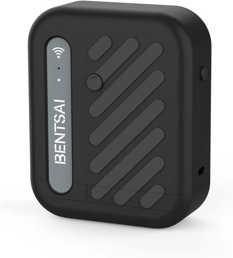 Bentsai Bentsai B10 42ml Fast Dry Black Ink Cartridge — product photo