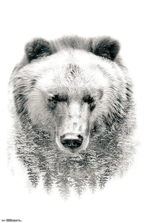 Poster print of a bear among trees, 22 by 34 inches, matte paper finish