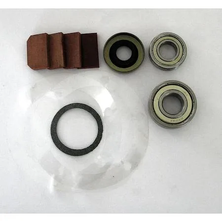 SPEEDAIRE 22XJ88 repair kit with bearings vanes gasket and shaft seal