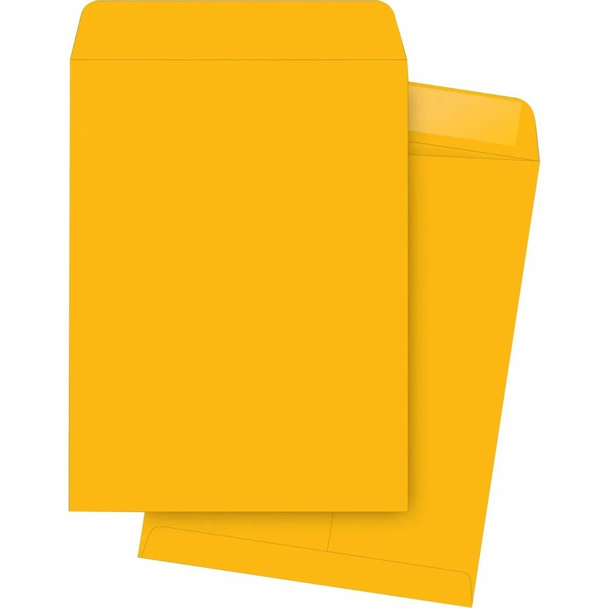 Business Source Business Source 42114 Envelope Kraft 12 28 lb 250/BX — product photo