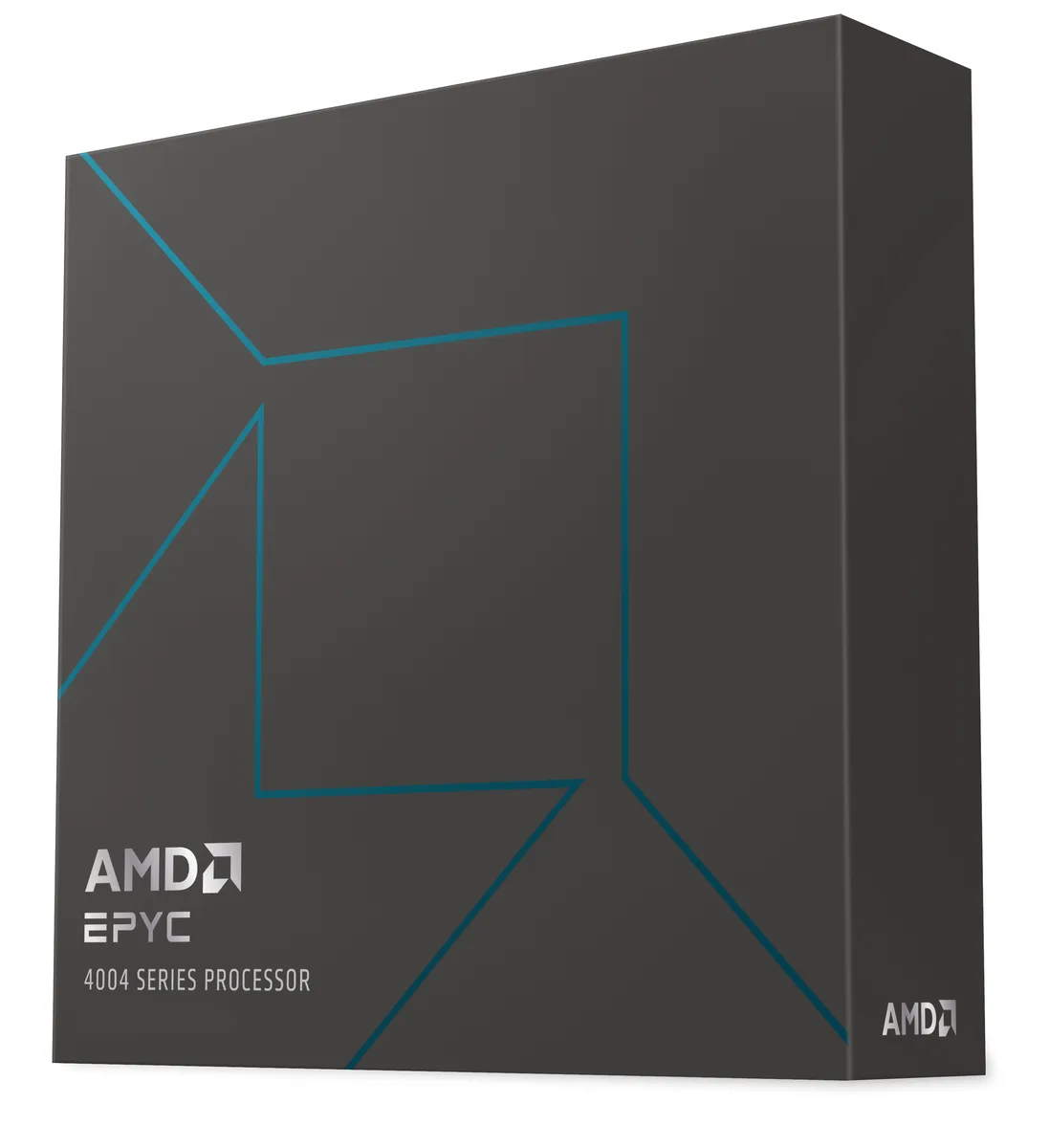 AMD AMD EPYC 4344P 8-Core 3.8 GHz 65W Server Processor 100-100001479WOF — product photo