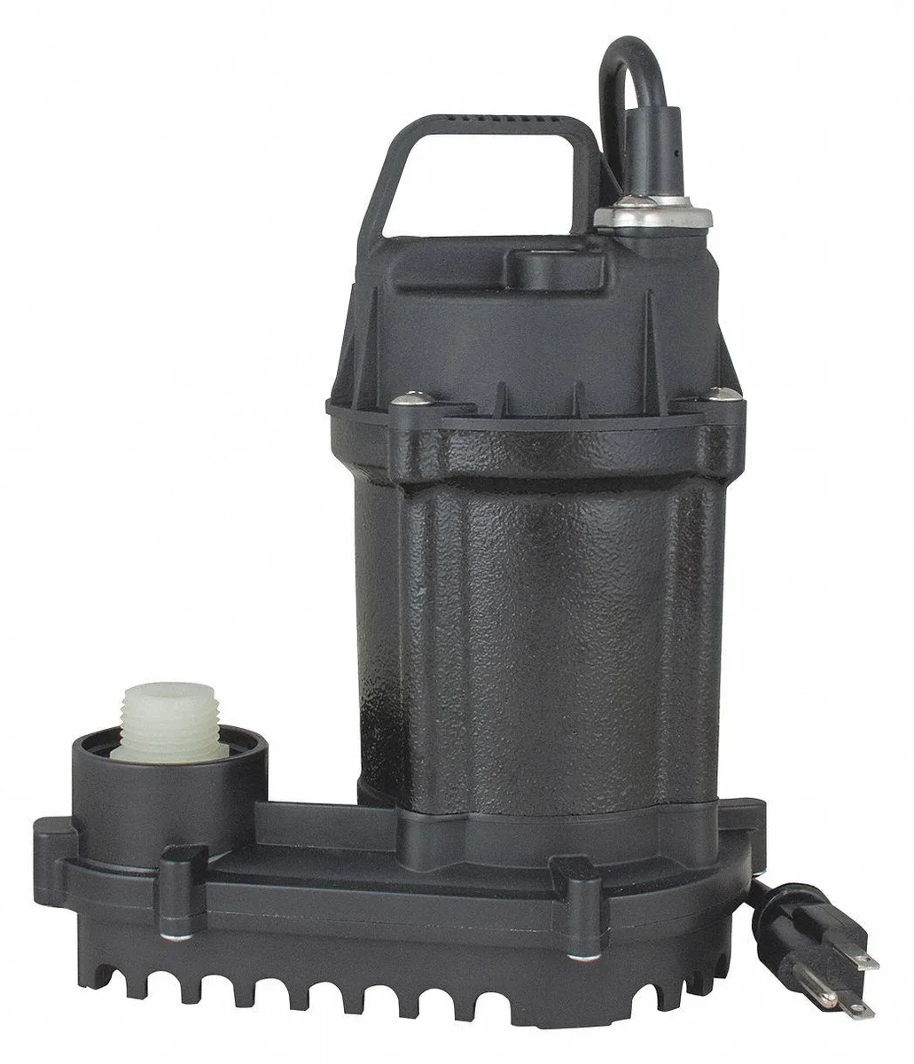 Flint &amp; Walling Flint &amp; Walling Submersible Sump Pump 1/6 HP Cast Iron 120VAC No Switch Ranch Supply — product photo
