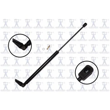 Transparent automotive lift support strut for right tailgate