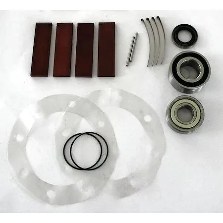 SPEEDAIRE SPEEDAIRE 22XJ79 Repair Kit — product photo