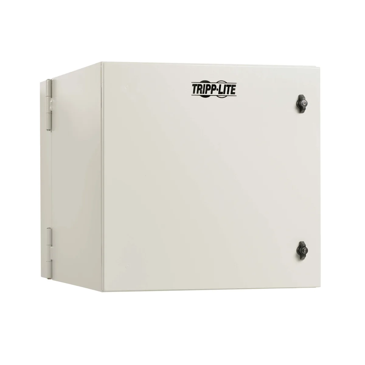 Tripp Lite Tripp Lite SRN4G12USDP 12U 32in Depth NEMA 4 Server Rack — product photo