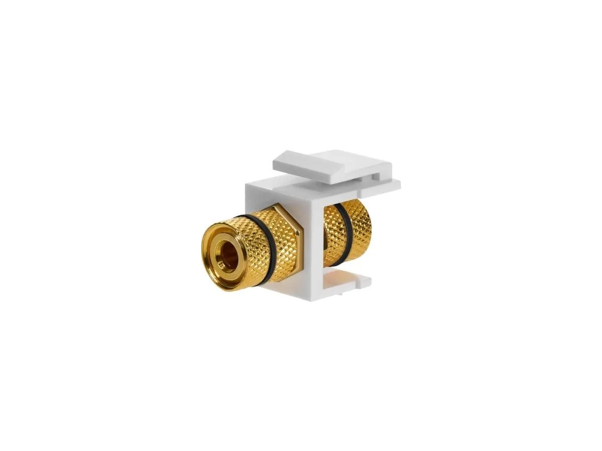 Monoprice Inc. Monoprice 108434 White Keystone Banana Jack Black Ring — product photo
