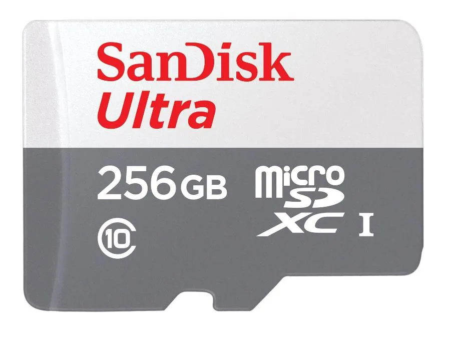 SanDisk SanDisk SDSQUNR-256G-GN3MN 256GB microSDXC 100MB/s Class 10 UHS-I No Adapter — product photo