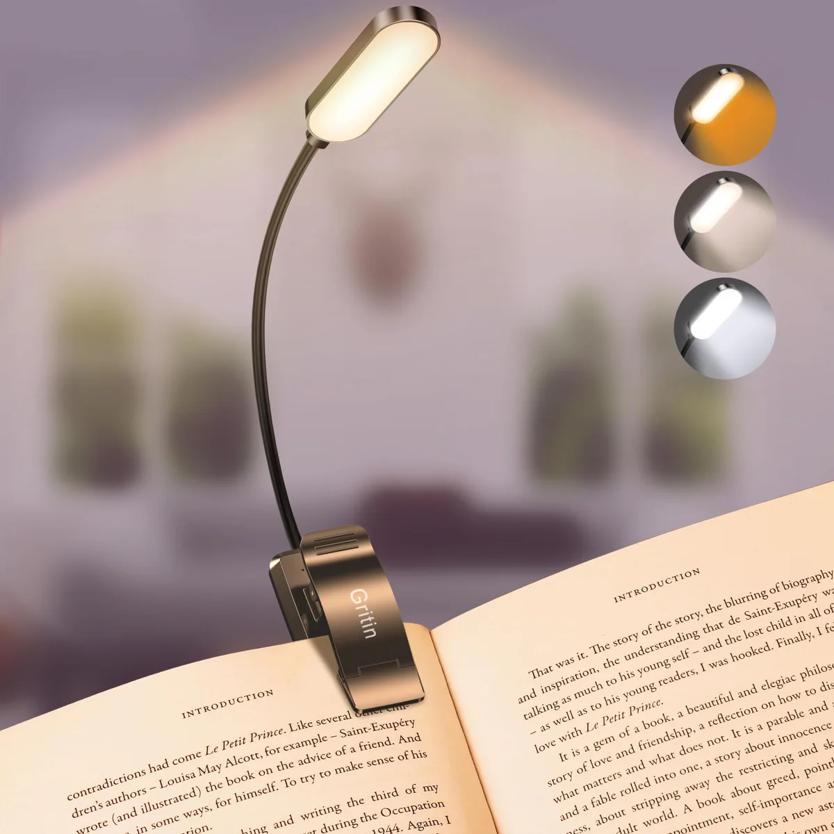 Compact clip-on book light with flexible gooseneck and 16 LEDs