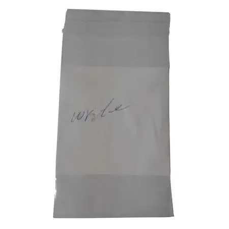 Zoro Select Zoro Select 6GGP9 Reclosable Bag Zip Seal 9 x 6 in 4 mil Clear 100 pack — product photo