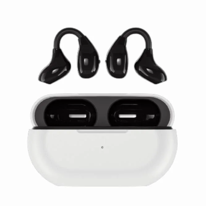 Black wireless in-ear earbuds with charging case