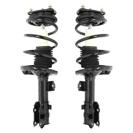 Pair of silver front strut assemblies with coil springs and top mounts