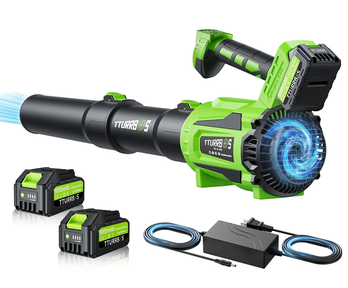 Orange cordless leaf blower with two batteries and charger