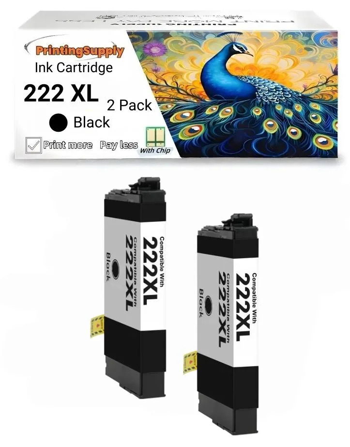 Aster Graphics Inc Aster Graphics Inc 222XL Ink Cartridge 2 Pack Black — product photo