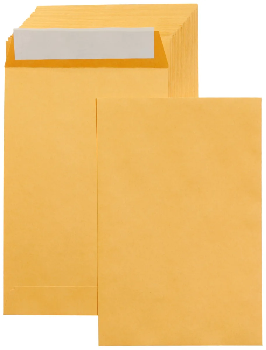 Amazon Basics AMZP12 Self-Seal Kraft Envelopes 6x9in 100-Pack 28lb — product photo