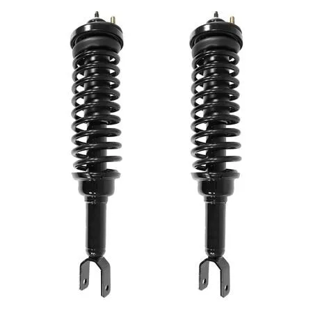 Unity rear complete strut assembly kit, two silver struts with coil springs and top mounts, new condition