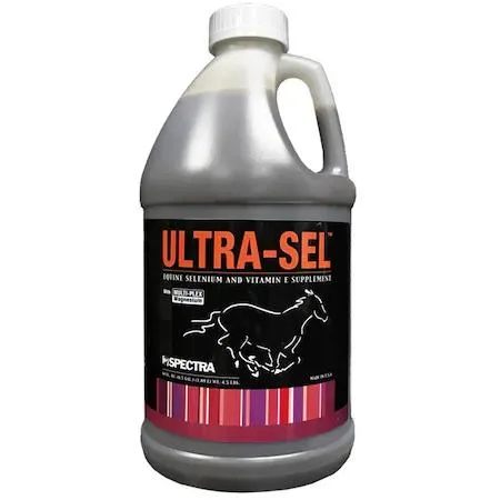 White plastic bottle with blue label, 64 oz liquid supplement for horses