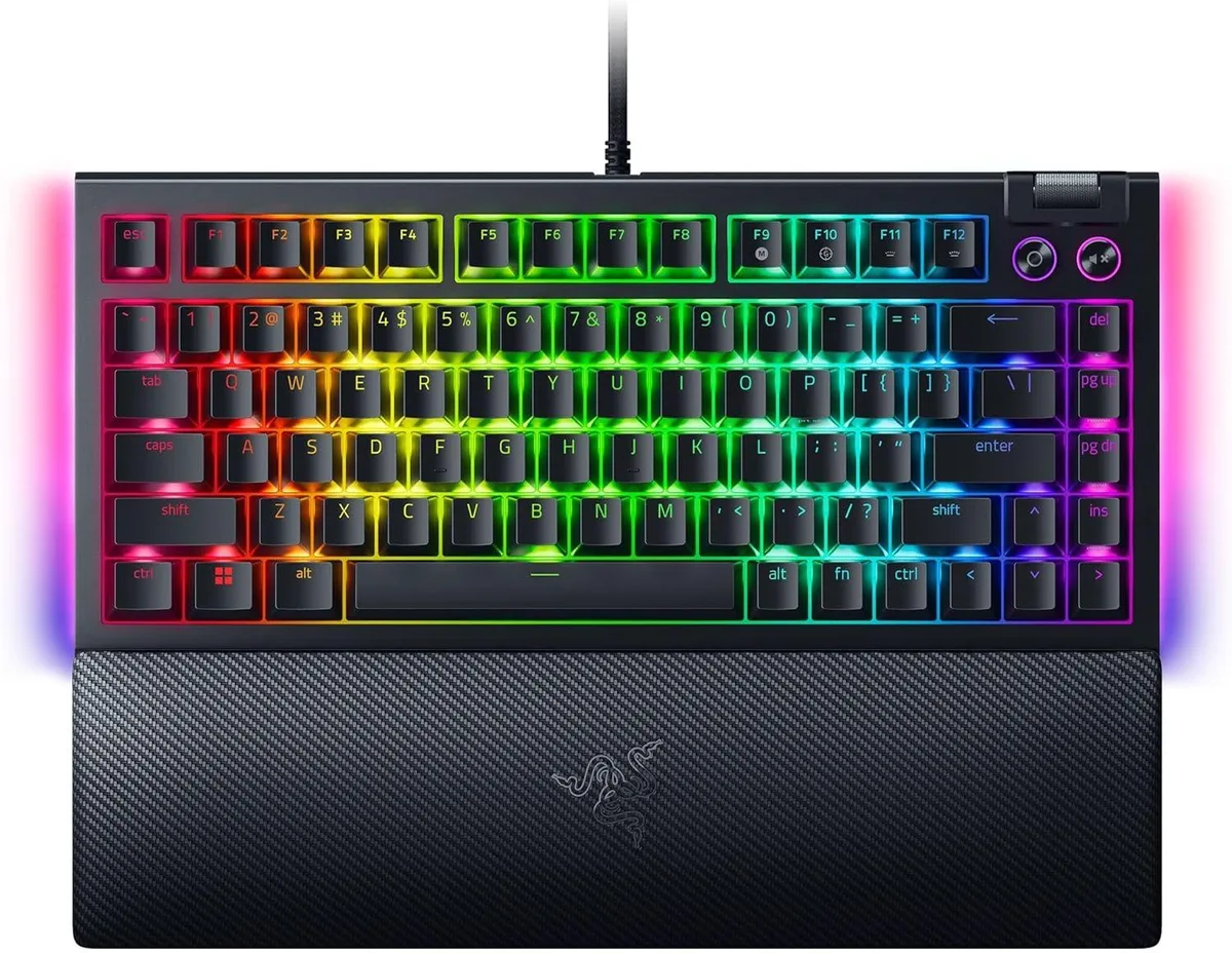 Razer USA Ltd Razer BlackWidow V4 75% Hot-Swappable Orange Switch Gaming Keyboard — product photo