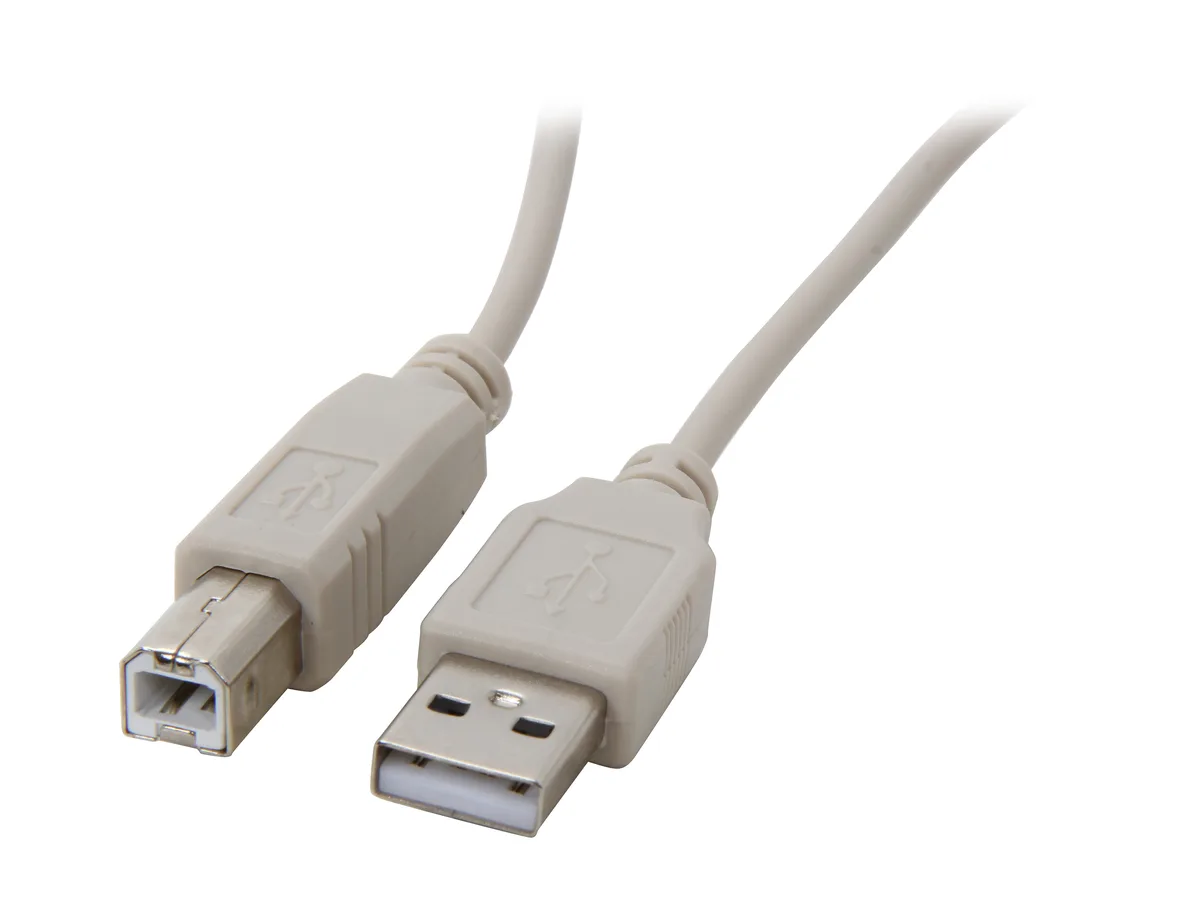 Link Depot Corp. Link Depot Corp. USB-6-AB 6ft USB 2.0 A Male to B Male Cable — product photo