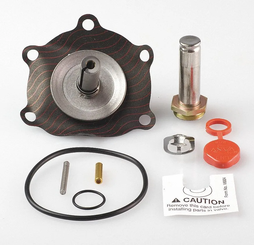 ASCO Power Technologies ASCO 302286 Valve Rebuild Kit for 8210G056 — product photo