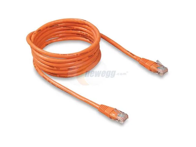 Belkin Belkin A3L980-02-ORG-S Cat 6 network ethernet cable 2 ft orange — product photo