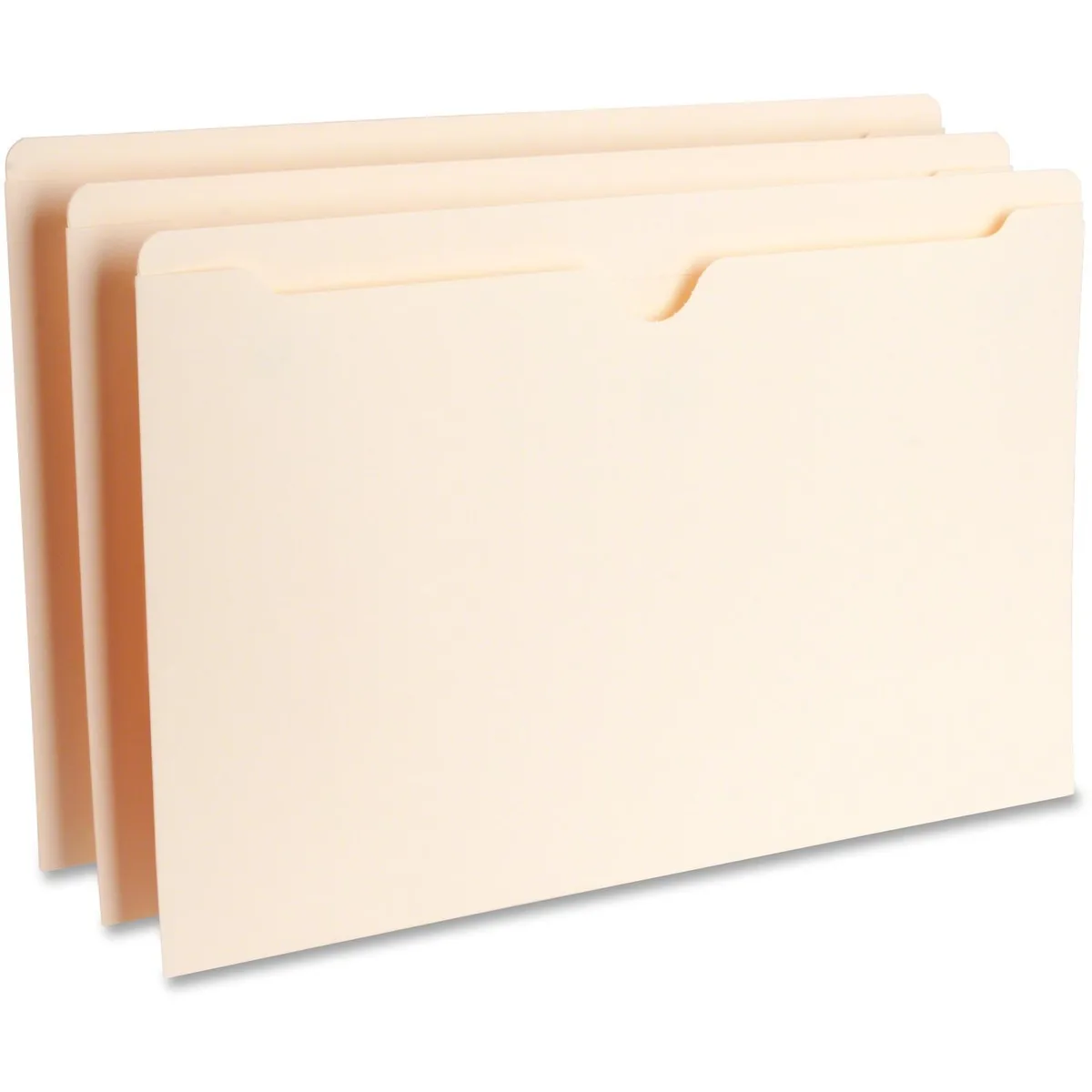 Business Source Business Source 65800 File Pocket Legal 50 Cap 100/BX — product photo
