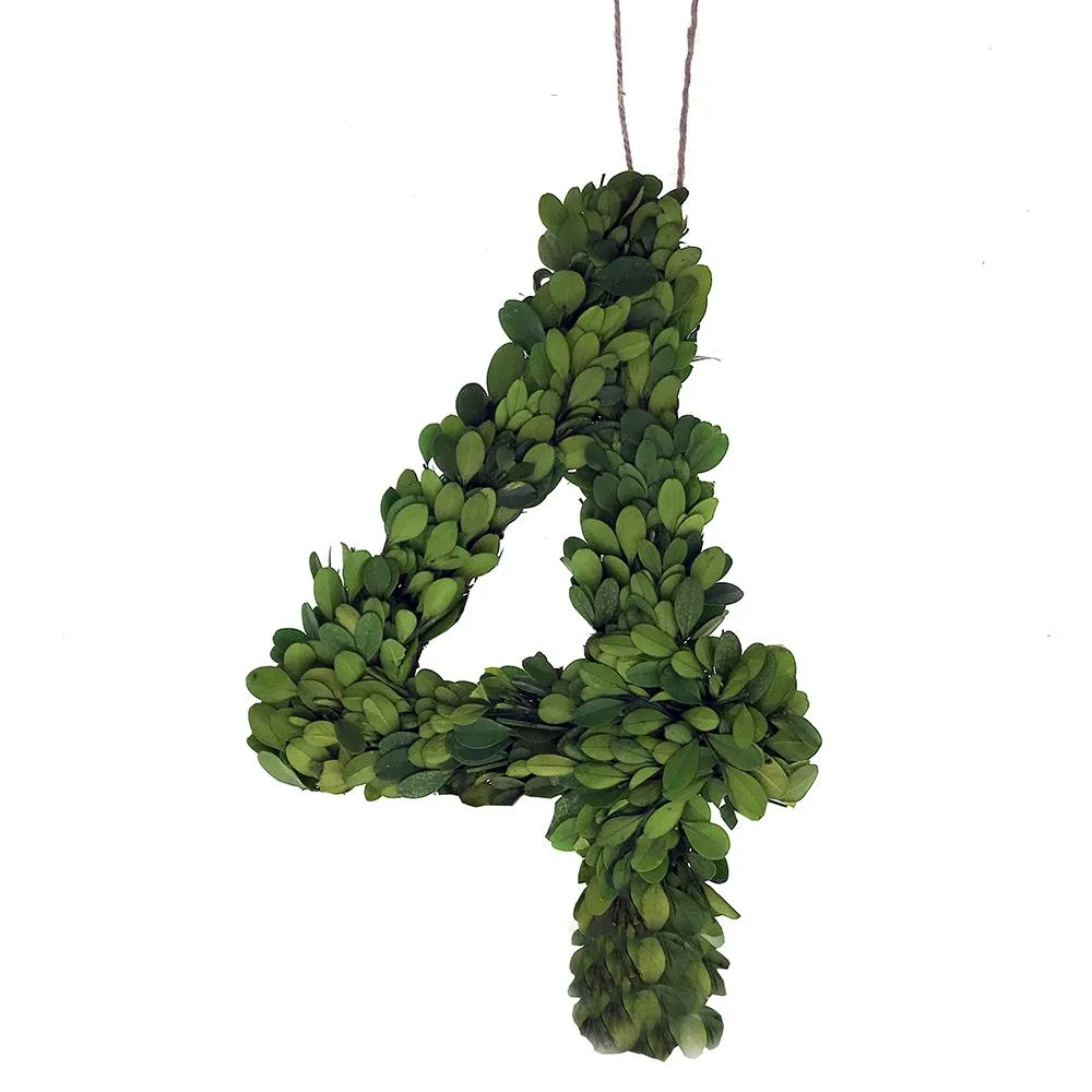 Vandue Corporation Vandue Corporation Modern Home 12" Real Preserved Boxwood Monogram Wreath Letter - 4 — product photo