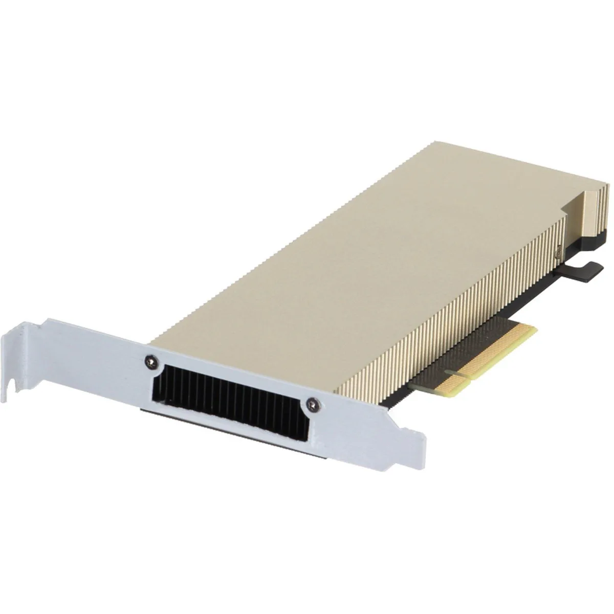 DELL DELL NVIDIA A2 Tensor Core 16GB GDDR6 60W HHHL SW LP PCIe GPU — product photo