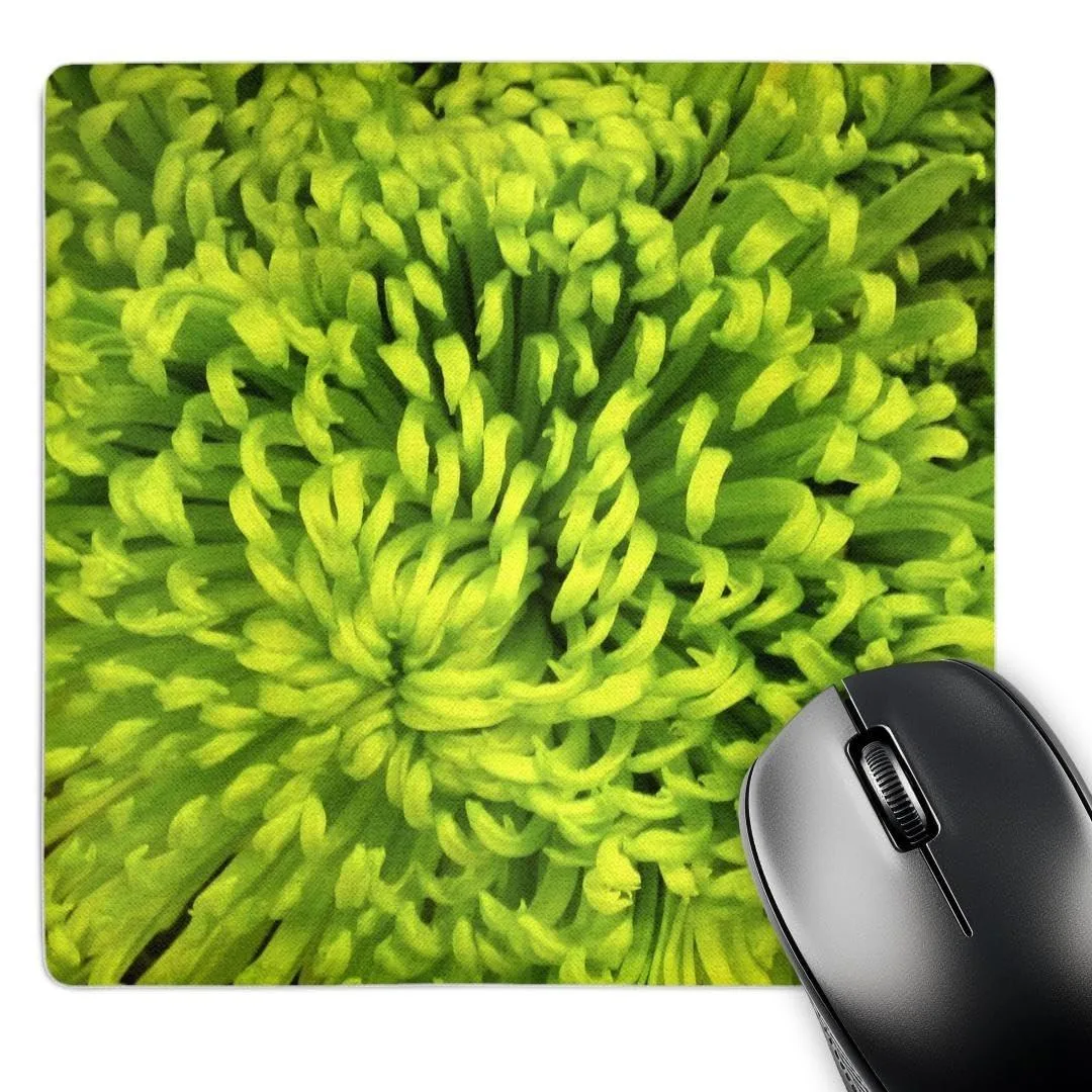 Avantalk Avantalk 2 in 1 accessory 8 x 8 x .25 inches Lime Green Flower — product photo