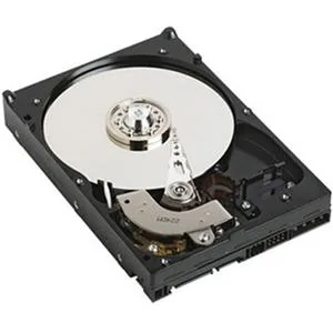 DELL DELL H962F 250 GB 3.5" SATA/150 hard drive — product photo