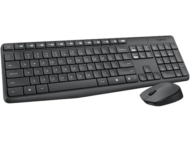 Black full-size keyboard with number pad and gray ambidextrous mouse plus USB receiver