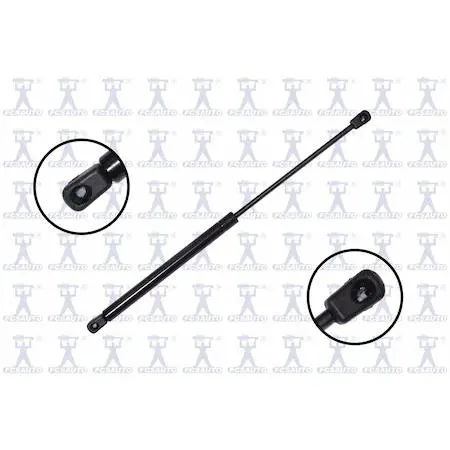 FCS Struts 84385 transparent lift support hood