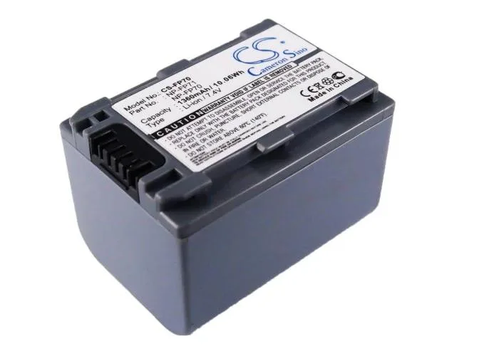 Rectangular camcorder battery with silver label and gold contacts