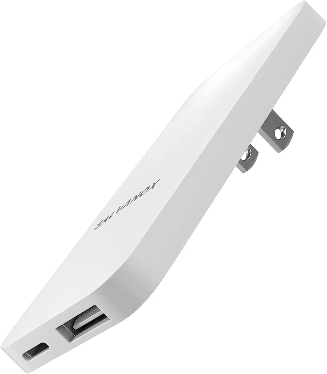 PISKEKAT PISKEKAT Galvanox Ultra Slim Dual USB-C USB-A 20W Charger — product photo