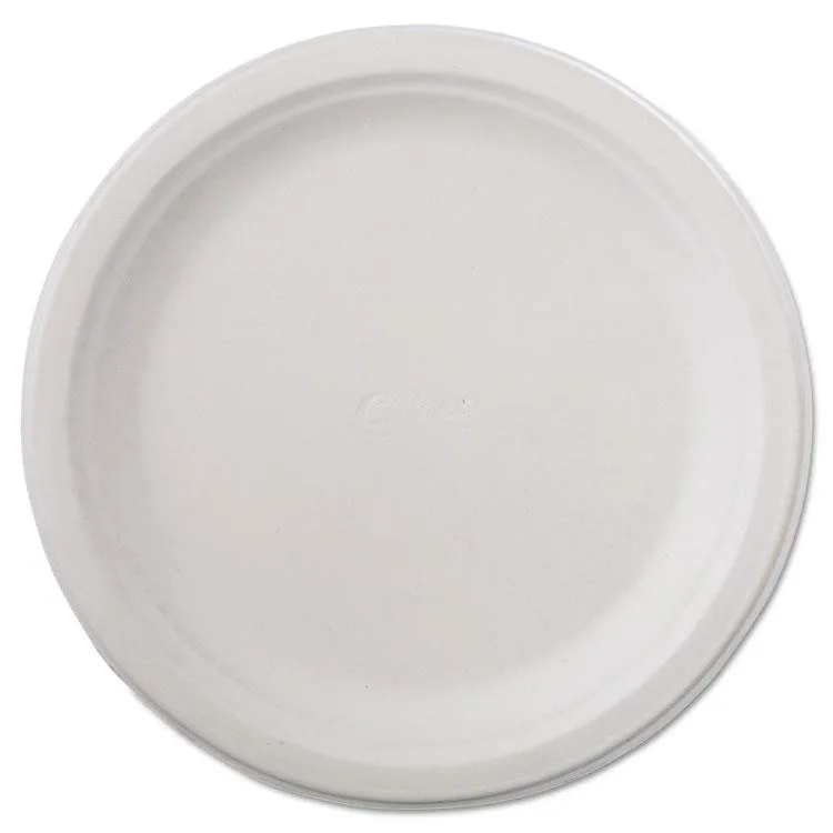 Chinet Chinet Classic Paper Plates 9.75" White 125/Pack 4 Packs — product photo