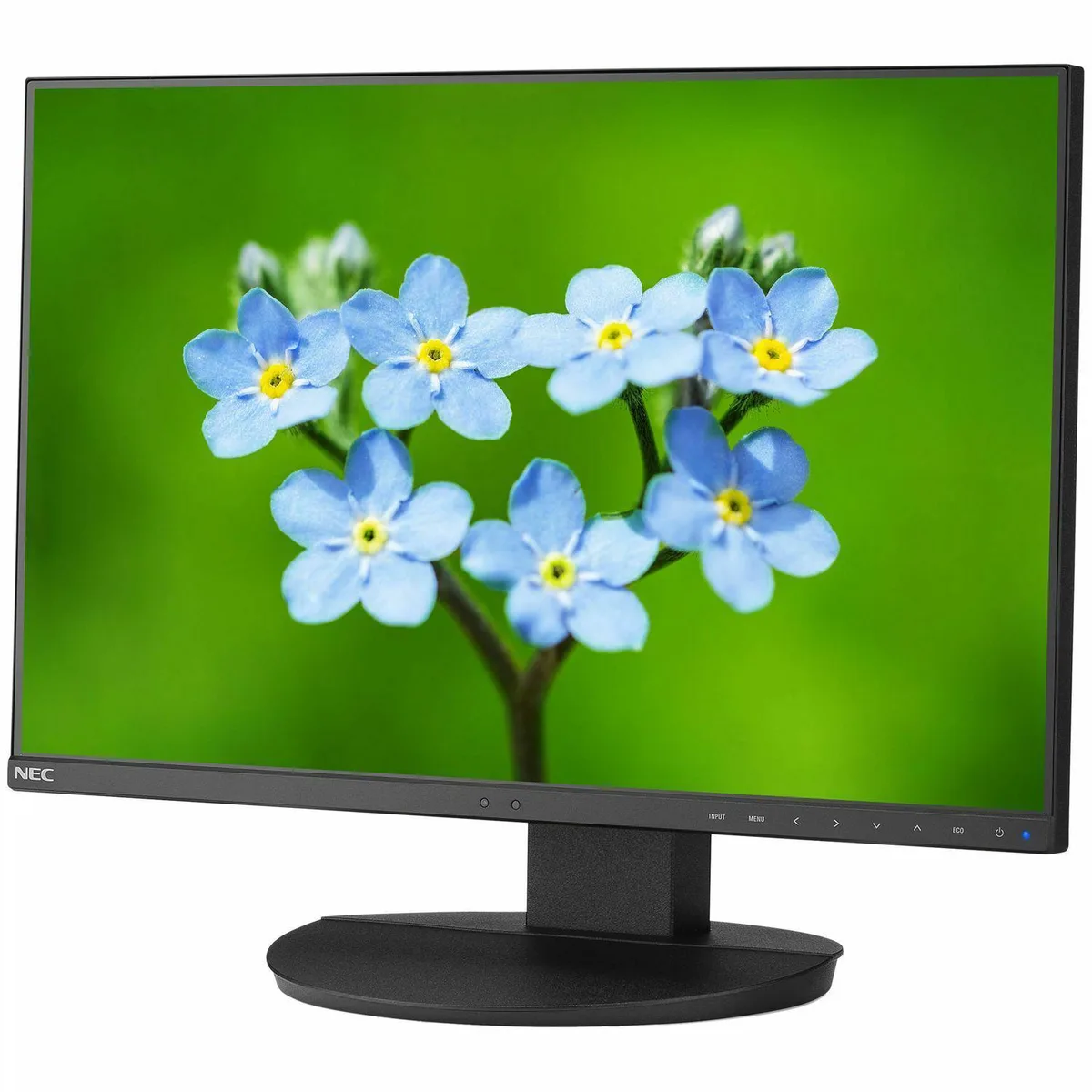 NEC NEC MultiSync E243F-BK 24" IPS USB-C Monitor cpu accessory — product photo