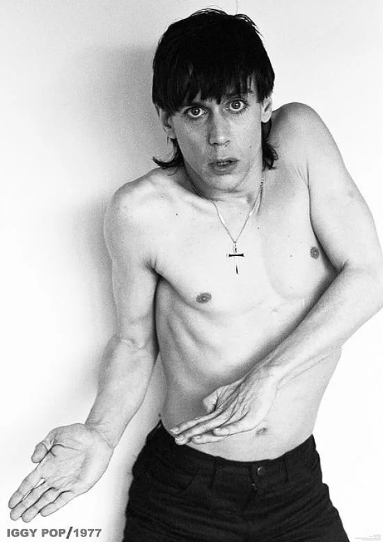 Posterazzi XPS1404 Iggy Pop studio pose poster 24 x 36 inches