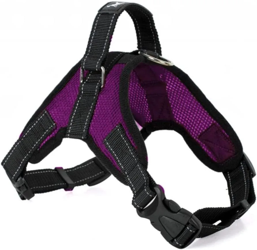 The Perfect Part The Perfect Part No-Pull Dog Harness Purple Mesh — product photo