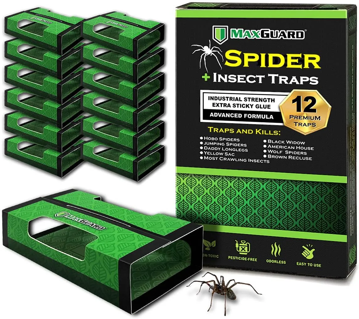 Box of 12 non-toxic sticky spider and insect traps