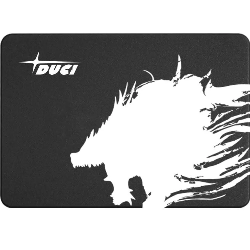 DUCI DUCI 128GB 2.5-inch SATA internal SSD — product photo
