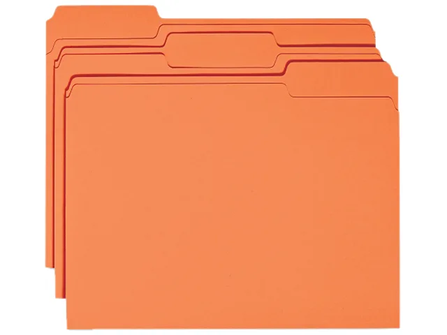 Business Source Business Source 44105 Orange File Folder 100/Box — product photo