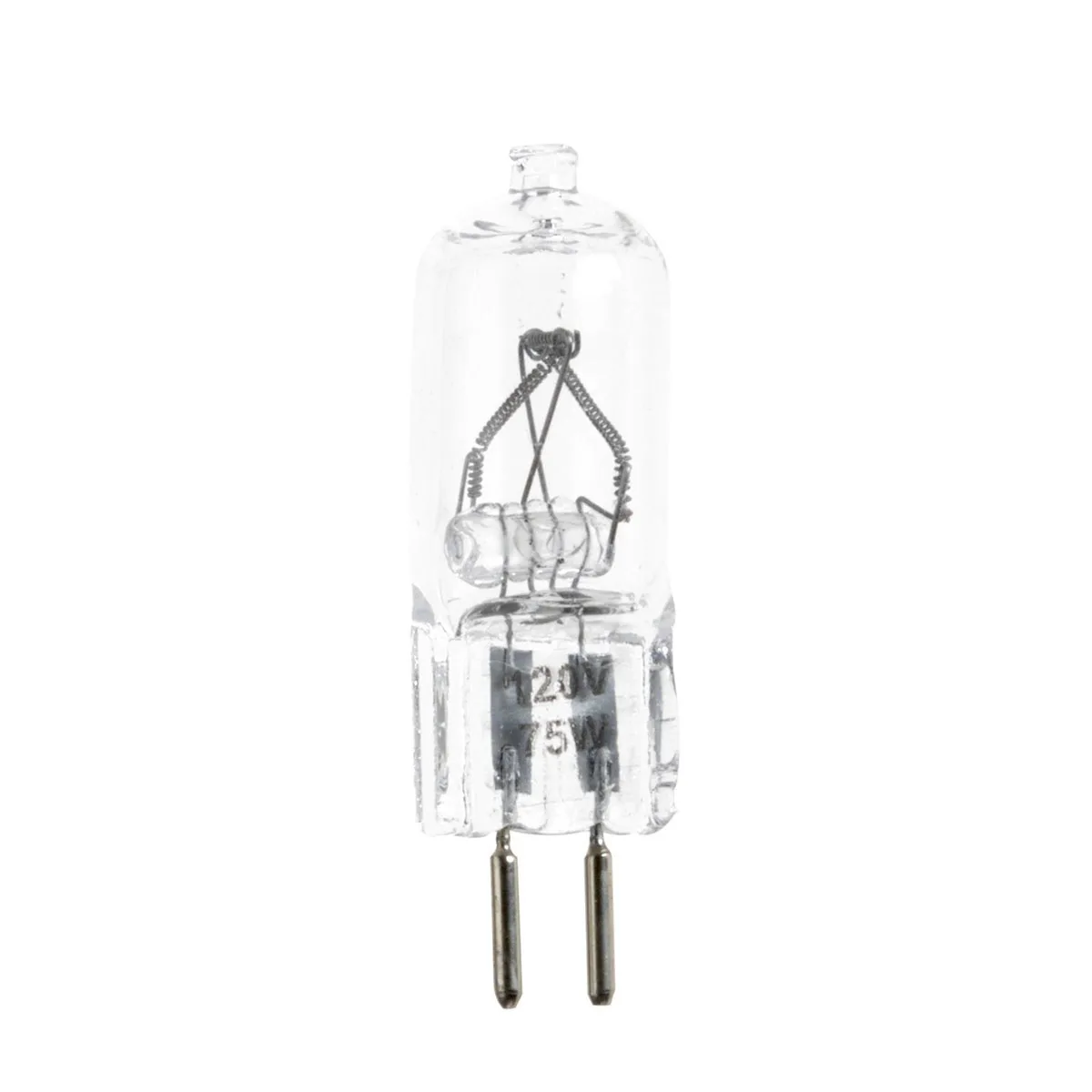Flashpoint Brand Flashpoint Brand Modeling Lamp 75W 110V — product photo