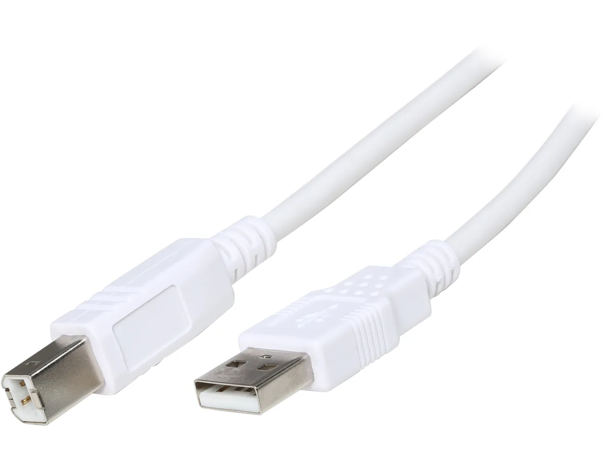 Cables To Go Cables To Go 13400 USB 2.0 A Male to B Male Cable White 9.8 Feet 3 Meters — תמונת המוצר