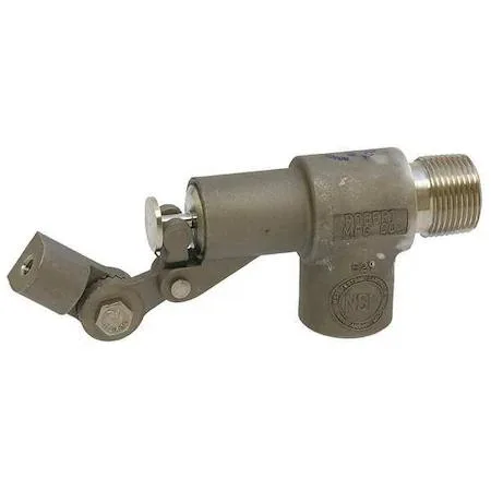Bobby Bobby R1361-3/4 Float Valve 3/4 in MNPT SS PTFE Seal — product photo