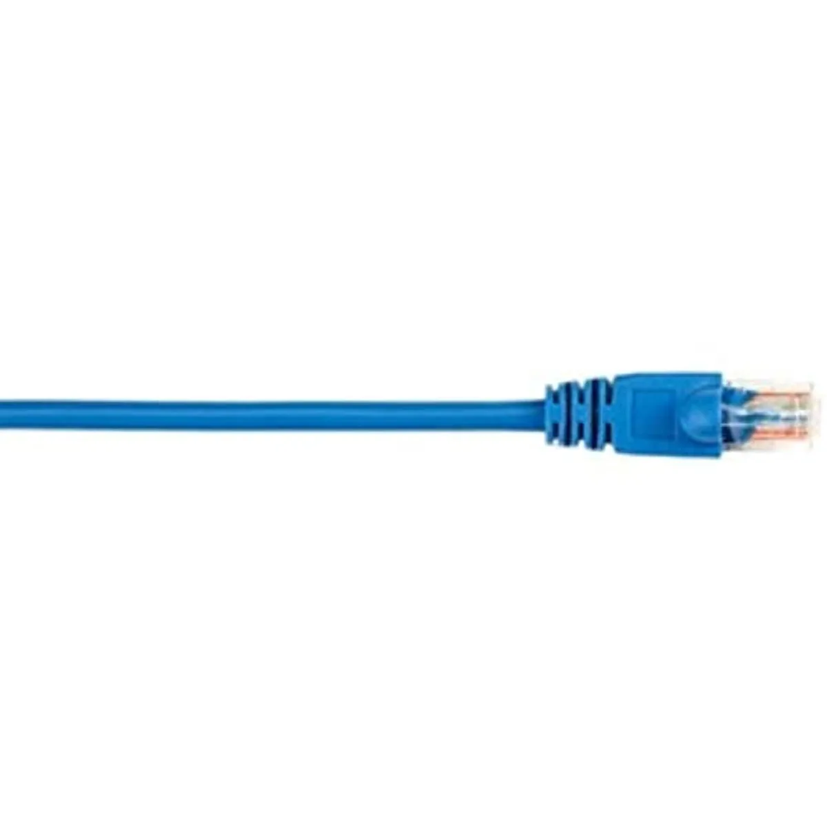 Black Box Corporation Black Box Corporation CAT5e 100 MHz Molded Snagless Stranded UTP Patch Cable — product photo