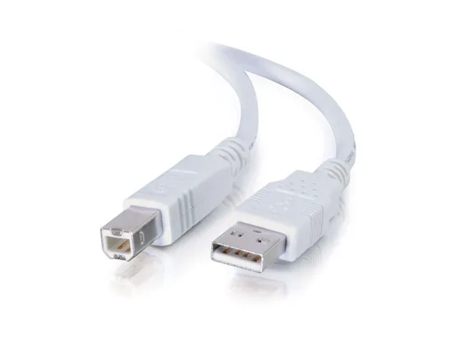 Cables To Go Cables To Go 13401 USB 2.0 A Male to B Male Cable White 5 Meters — product photo