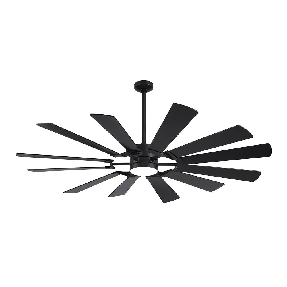 SHREEFINDEE SHREEFINDEE 121 62" 12 Blade Ceiling Fan with Light and Remote — product photo