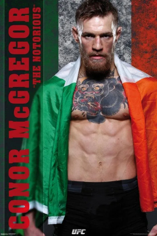 Poster print of Conor McGregor UFC 22 by 34 inches glossy paper rolled in tube